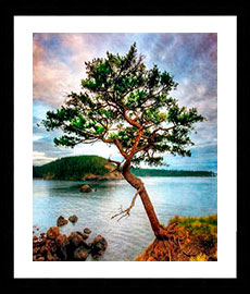 Photos Paysage -  Reproduction de tableaux